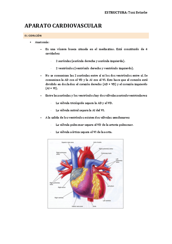 Miniatura del documento APARATO-CARDIOVASCULAR.pdf