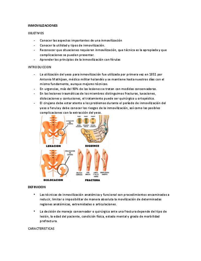 Miniatura del documento INMOVILIZACIONES.pdf