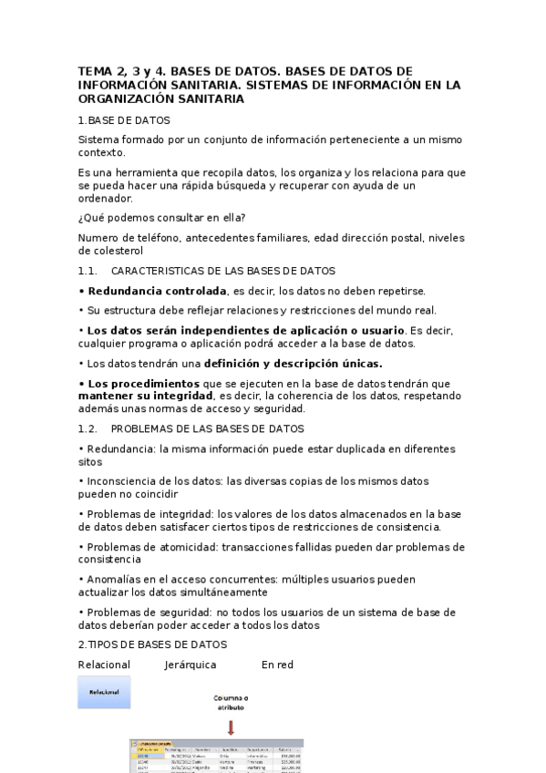 Miniatura del documento apuntes-TIC-toribio.docx