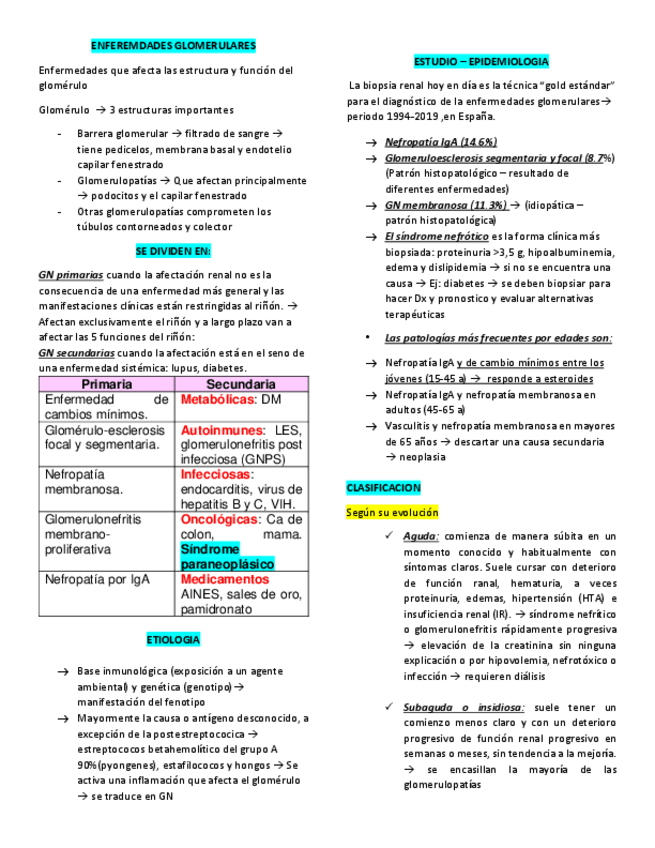 Miniatura del documento ENFEREMDADES-GLOMERULARES-EXTENSO.pdf