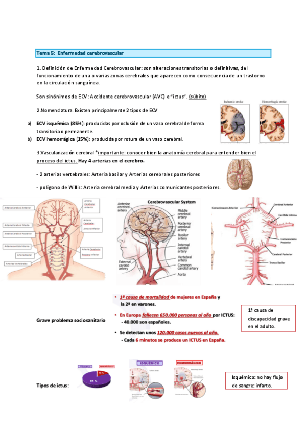 Miniatura del documento ACV-Y-FISIOTERAPIA-EN-ACV.pdf