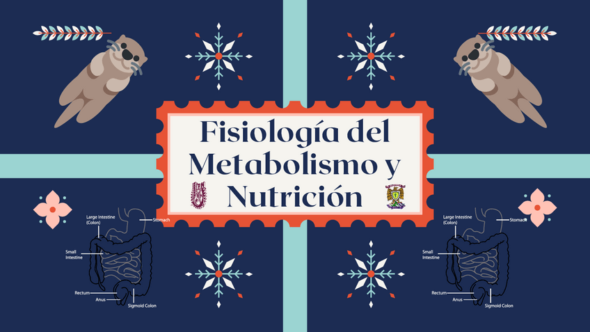 Miniatura del documento Fisiologia-del-metabolismo-y-nutricion.pdf