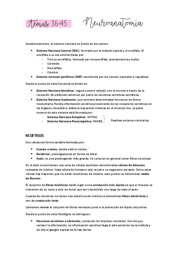 Miniatura del documento NEUROANATOMIA34-35.pdf