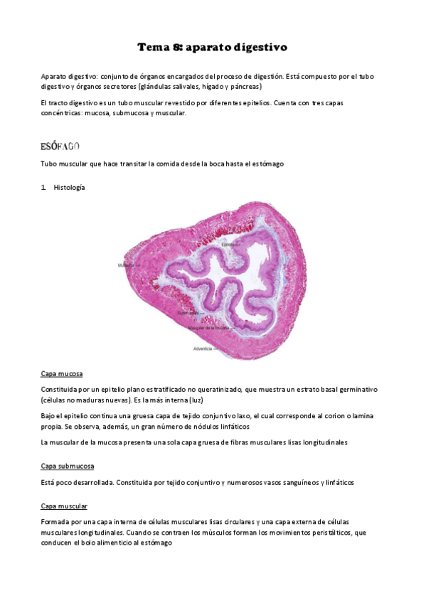 Miniatura del documento Tema-8.pdf