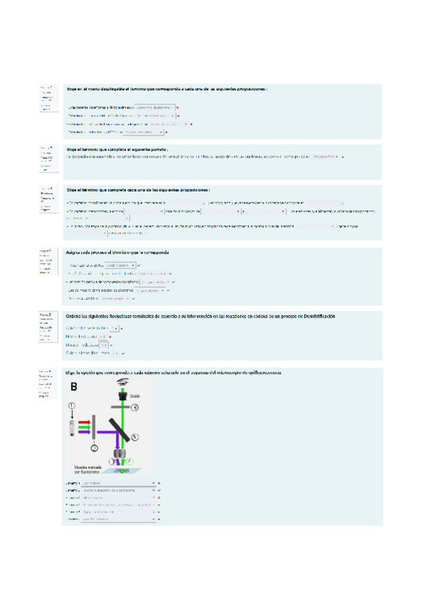 Miniatura del documento Autoevaluacion-temas-7-y-8.pdf