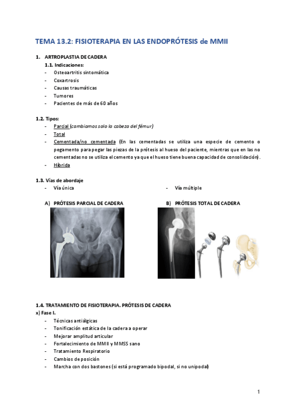 Miniatura del documento Tema-13.pdf