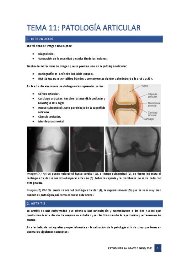 Miniatura del documento Tema-11.pdf
