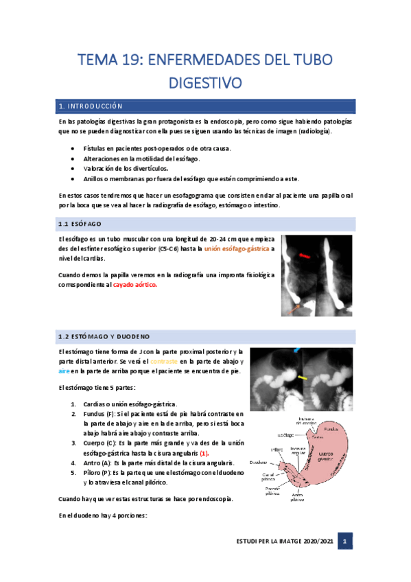 Miniatura del documento Tema-19.pdf