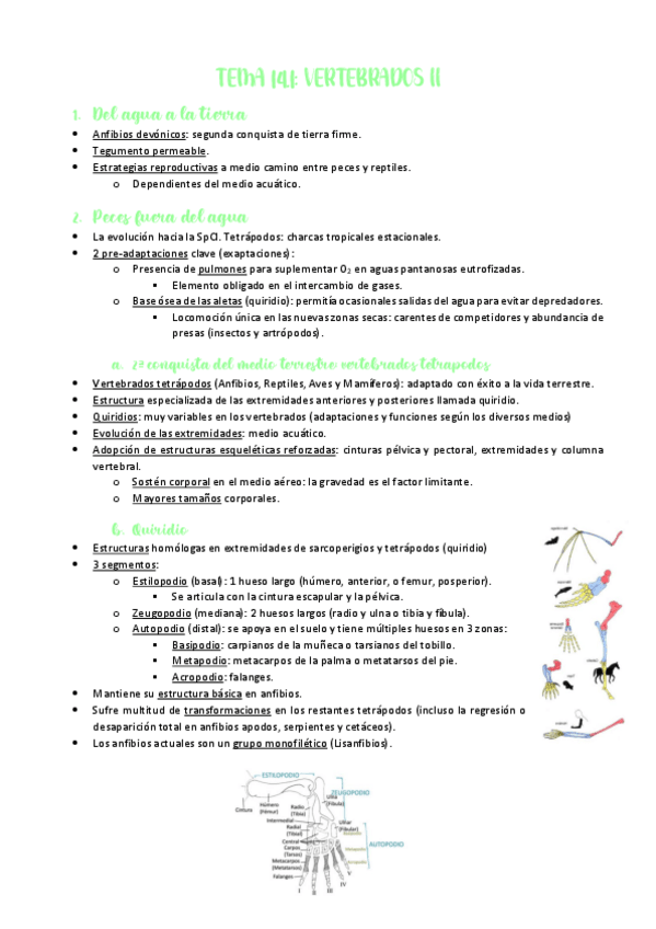 Miniatura del documento TEMA-14.pdf