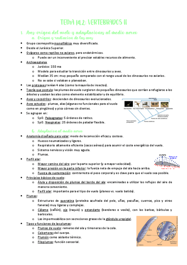 Miniatura del documento TEMA-14.pdf