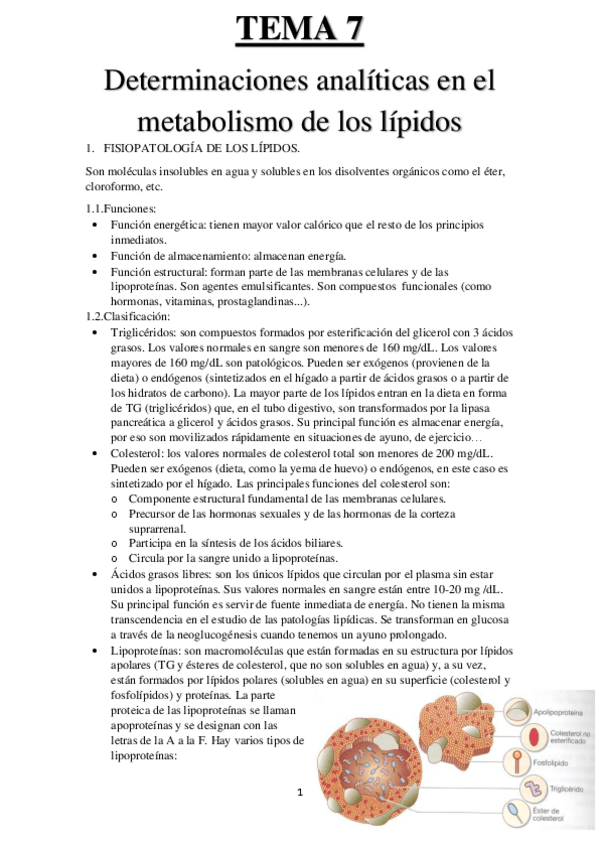 Miniatura del documento TEMA-7-BIO.pdf