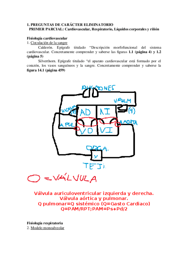 Miniatura del documento Eliminatorias.docx