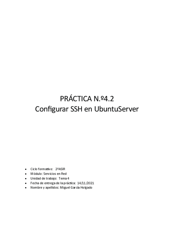 Miniatura del documento GarciaHolgadoMiguelP4.pdf