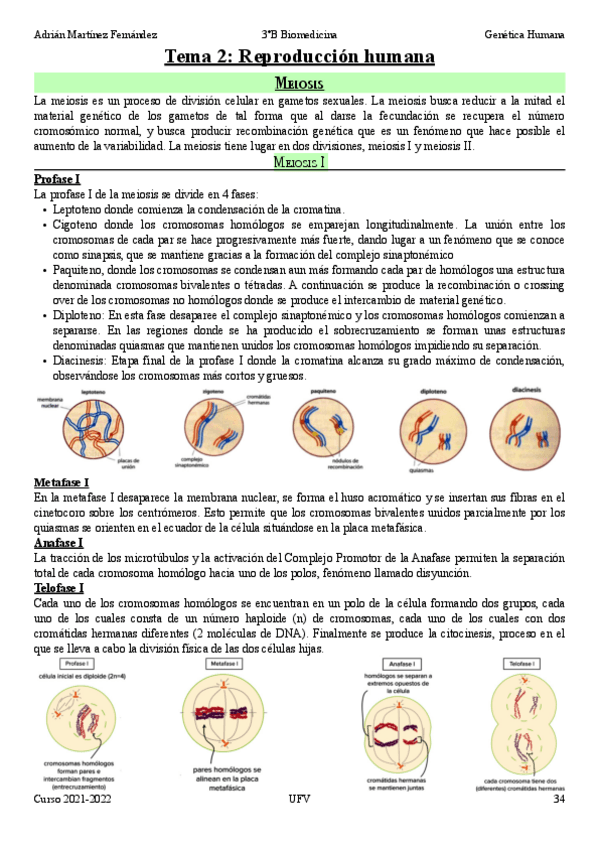 Miniatura del documento Tema-2-Reproduccion-humana.pdf