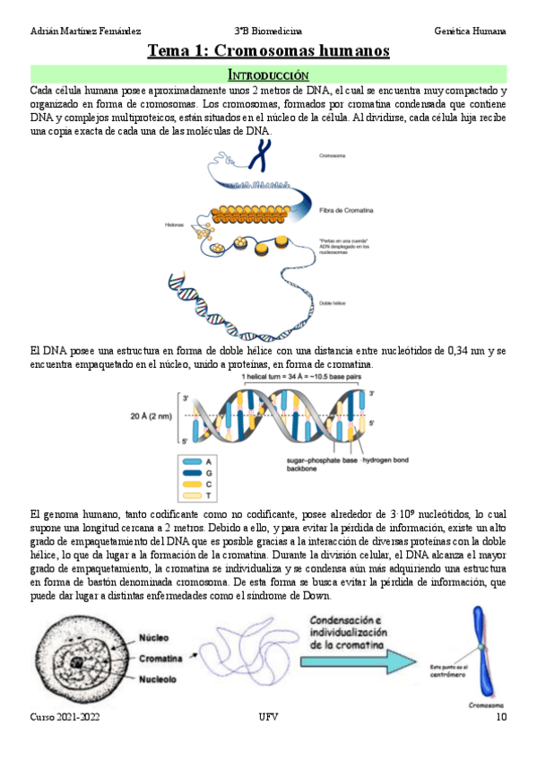Miniatura del documento Tema-1-Cromosomas-humanos.pdf