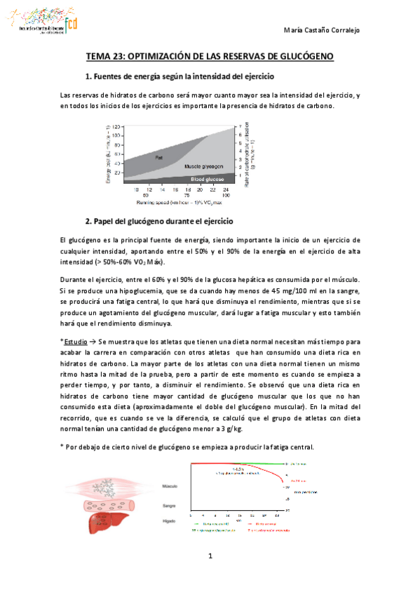 Miniatura del documento TEMA-23-NUTRICION-Y-DEPORTE.pdf