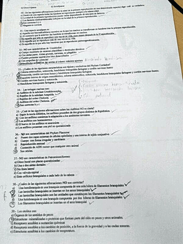 Miniatura del documento examen zoo.pdf.jpg