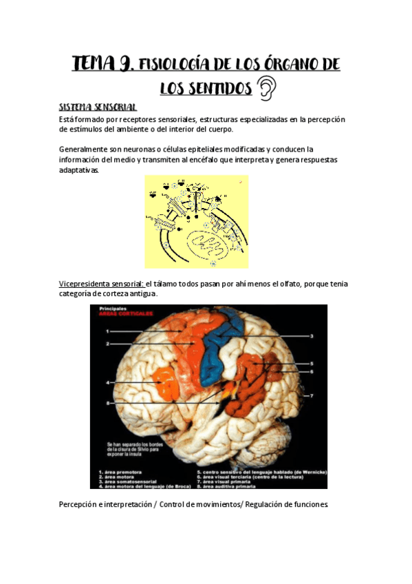 Miniatura del documento Tema-9.pdf