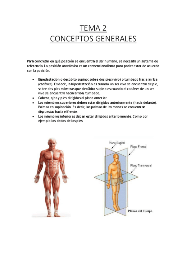 Miniatura del documento TEMA-2-CONCEPTOS-GENERALES.pdf