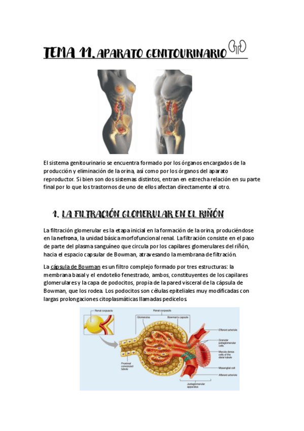 Miniatura del documento Tema-11.pdf