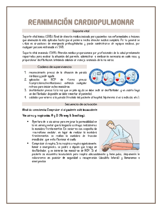 Miniatura del documento Reanimacion-cardiopulmonar.pdf
