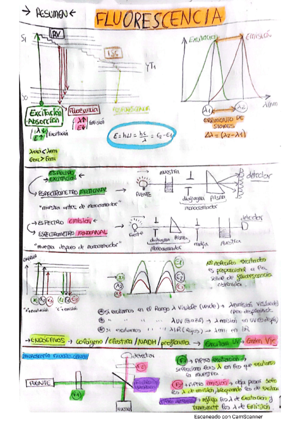 Miniatura del documento resumen-tema-2.pdf