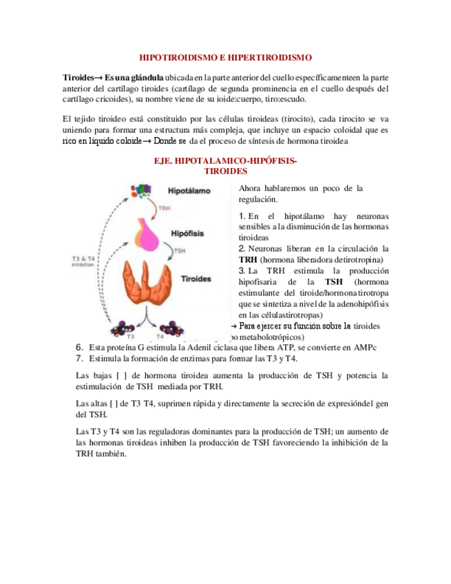 Miniatura del documento HIPO-E-HIPER.pdf