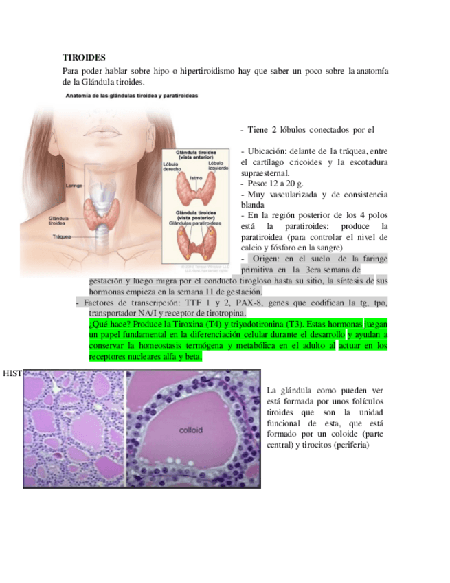 Miniatura del documento TIROIDES.pdf