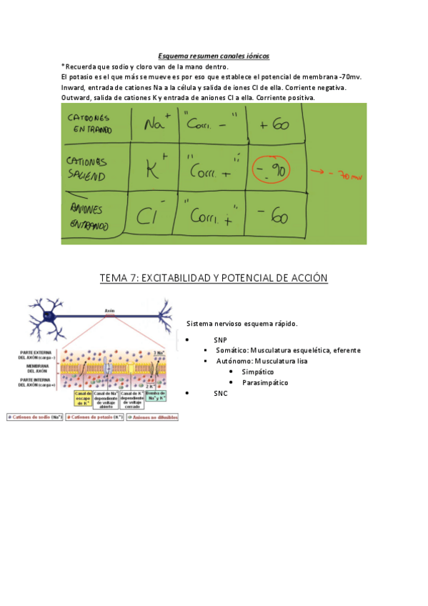 Miniatura del documento Tema-7-Potencial-de-membrana.pdf
