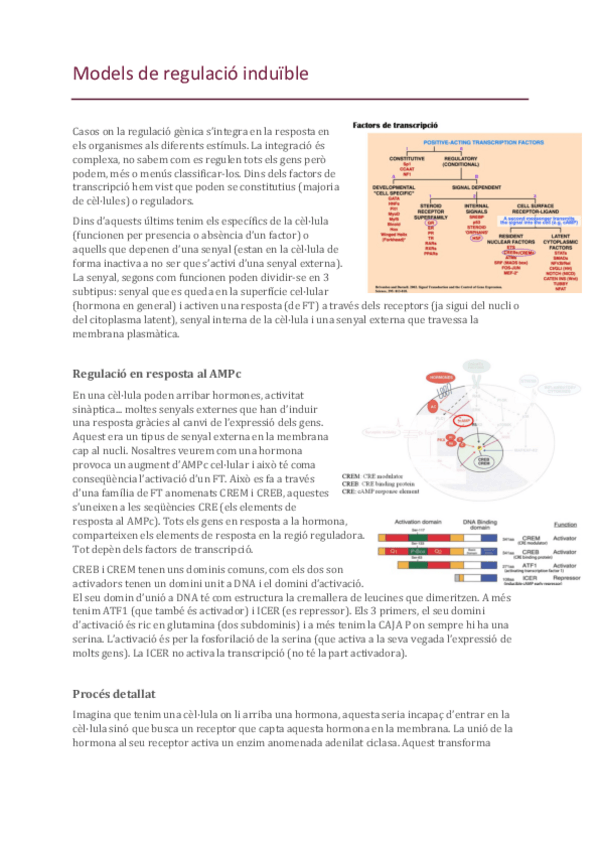 Miniatura del documento 22-Transcripcio-induible.pdf