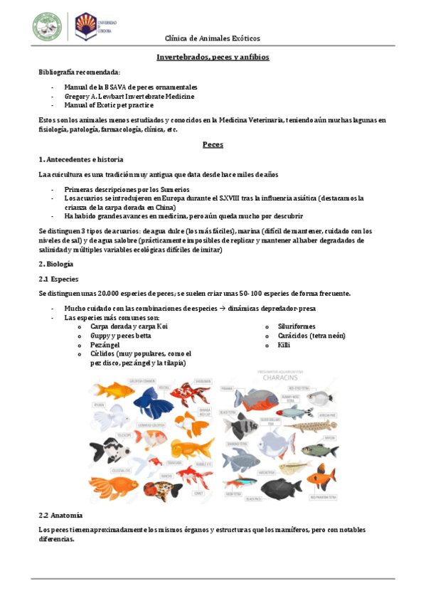 Miniatura del documento Pecesinvertebrados.pdf