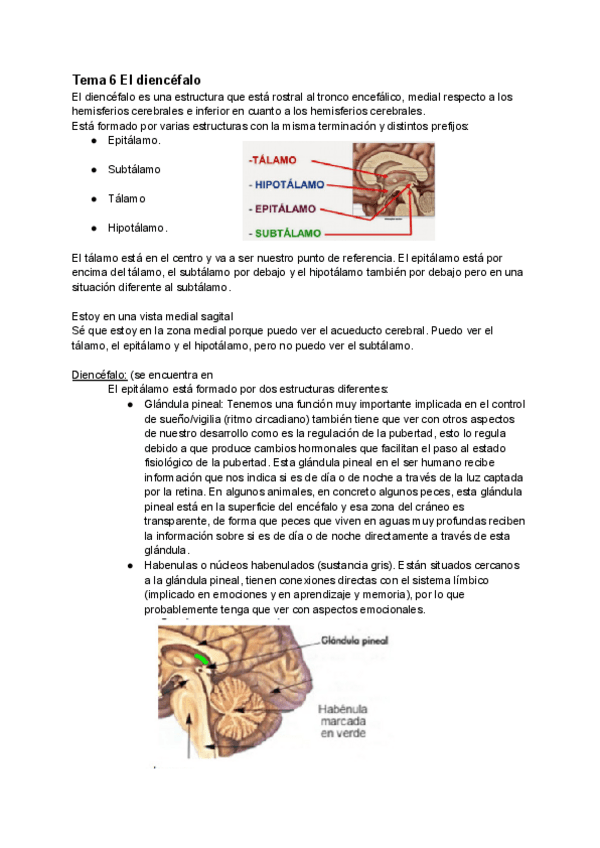Miniatura del documento Tema-6.pdf