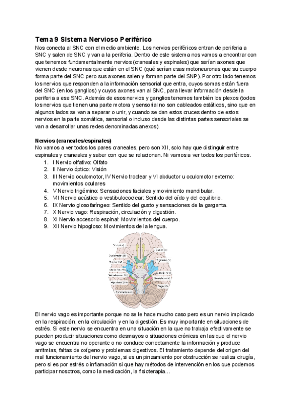 Miniatura del documento Tema-9-1.pdf