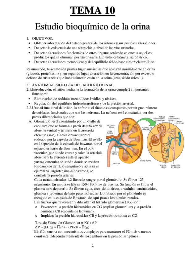 Miniatura del documento TEMA-10-BIO.pdf
