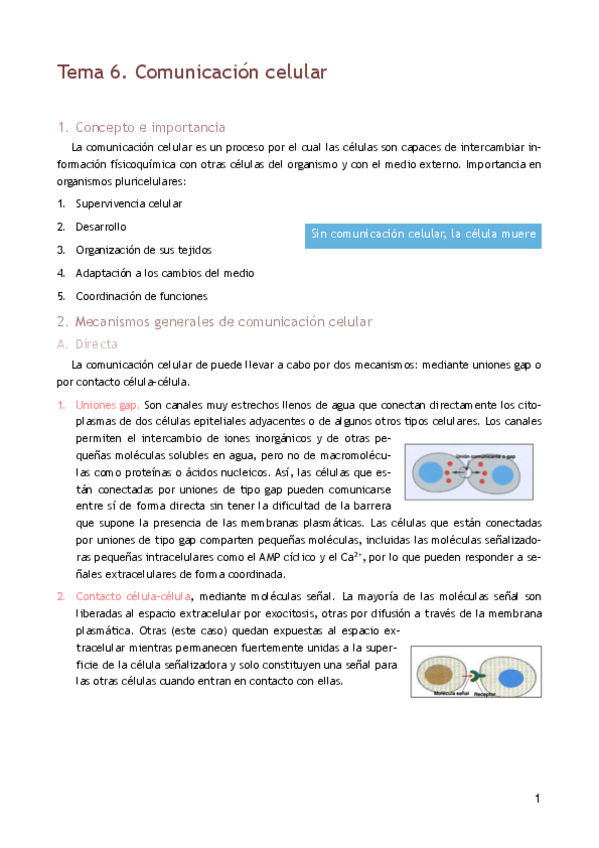 Miniatura del documento MT6. Comunicación celular.pdf