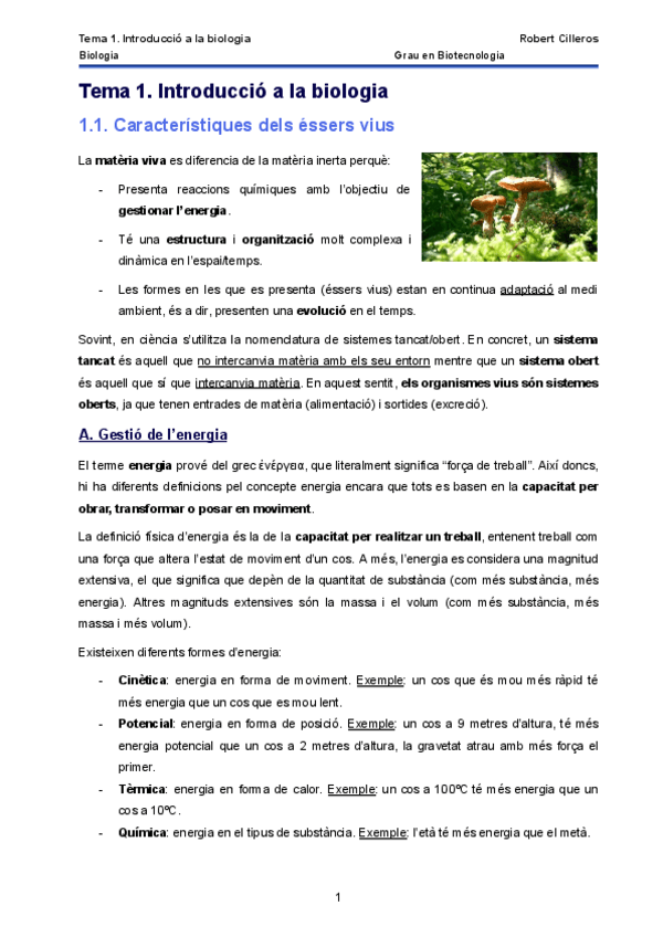 Miniatura del documento 1.pdf