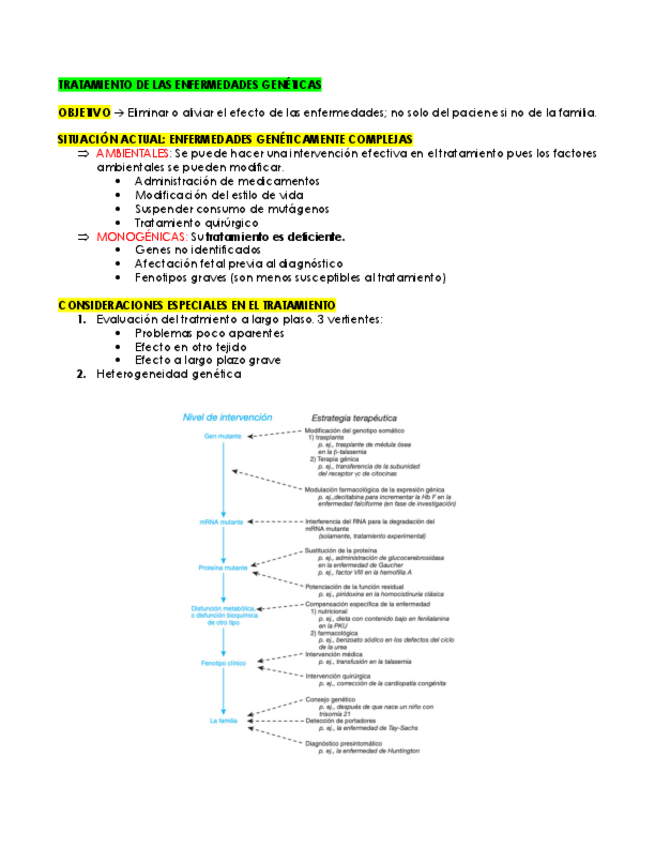 Miniatura del documento TRATAMIENTO-DE-LAS-ENFERMEDADES-GENETICAS.pdf