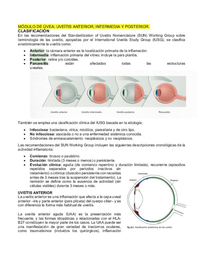 Miniatura del documento MODULO-DE-UVEA.pdf