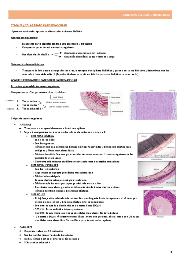 Miniatura del documento TEMA-22-Y-23-AP.pdf