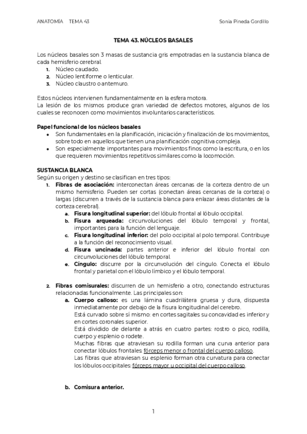 Miniatura del documento ANAT.pdf