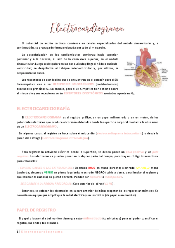 Miniatura del documento Electrocardiograma.pdf