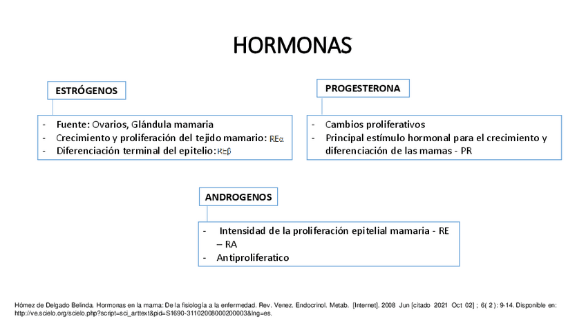 Miniatura del documento GLANDULA-MAMARIA-HORMONAS-Y-CADENA-GANGLIONAR.pdf