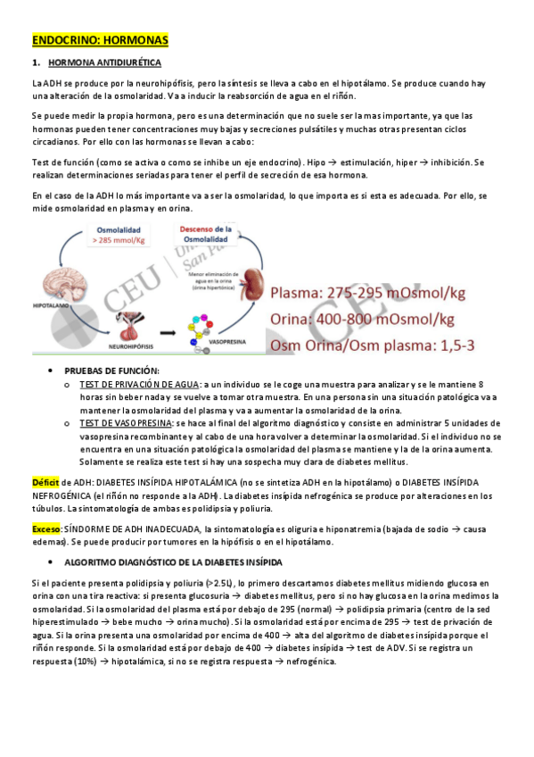 Miniatura del documento HORMONAS.pdf