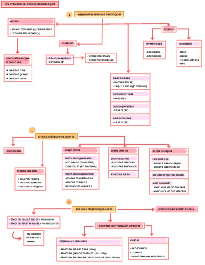Miniatura del documento Esquemas-prot.pdf
