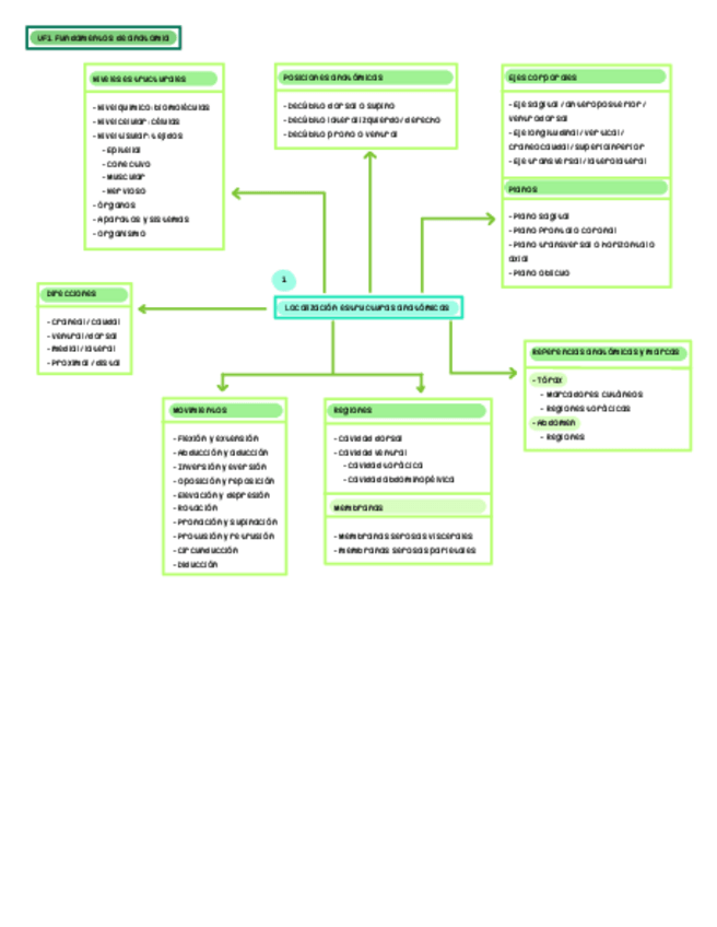 Miniatura del documento Esquemas-Anatomia-.pdf