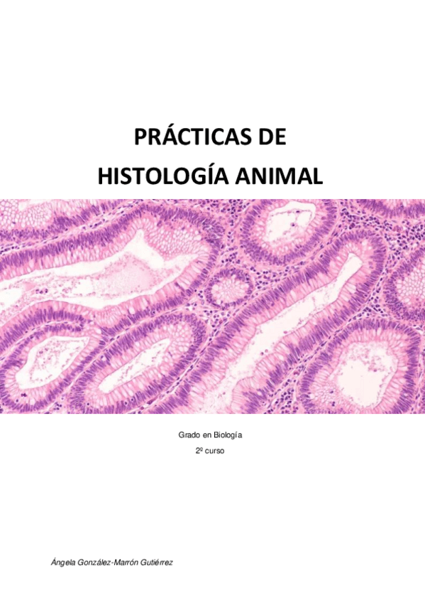 Miniatura del documento Prácticas laboratorio (histo an).pdf