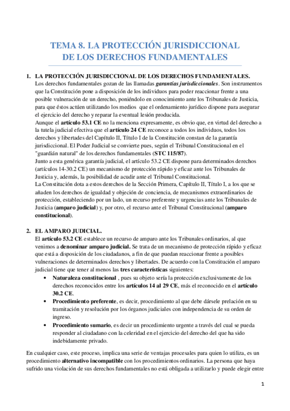 Miniatura del documento TEMA 8. LA PROTECCION JURISDICCIONAL DE LOS DERECHOS FUNDAMENTALES.pdf