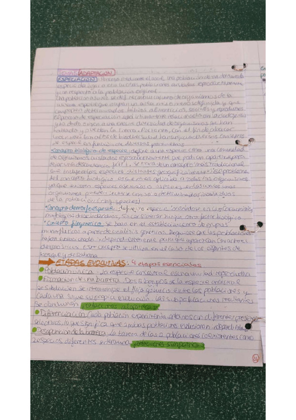 Miniatura del documento menes-poblalcion-tema-5.pdf