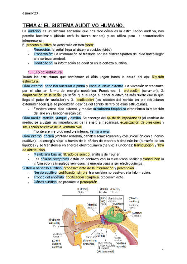 Miniatura del documento TEMA-4-EL-SISTEMA-AUDITIVO-HUMANO.pdf