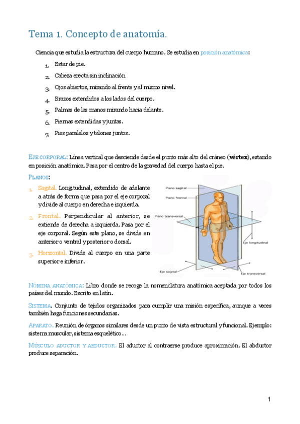 Miniatura del documento MT1 2 y 3. Anatomía osteología y artrología.pdf